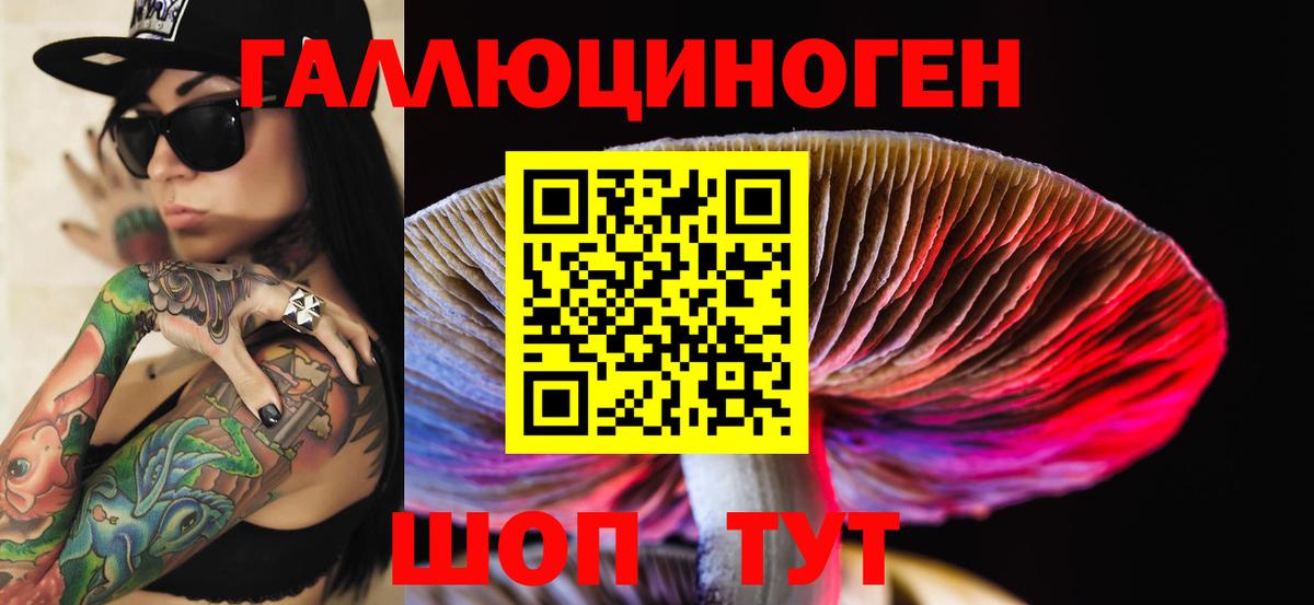 Чебоксары  Галлюциногенные грибы Psilocybine cubensis  купить закладку  Вход с VPN 