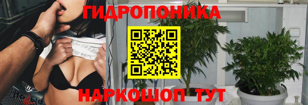 Каннабис конопля  Бошки марихуана THC 21%  Чебоксары  Вход с VPN 
